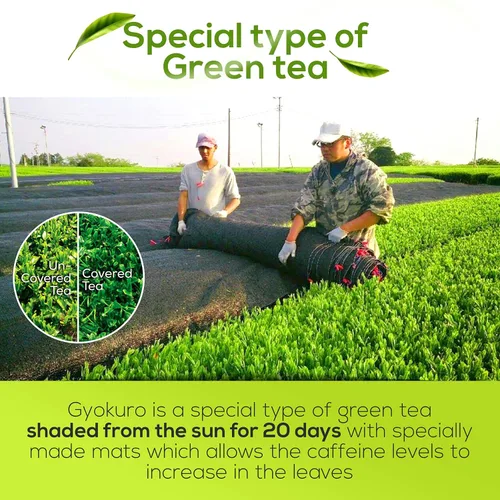 Vista 5 de Juego de té Aracha Gyokuro y Gokuzyo y tetera japonesa Tokoname Kyusu de Japanese Green Tea Co – Surtido de té verde japonés de 3 piezas de alta