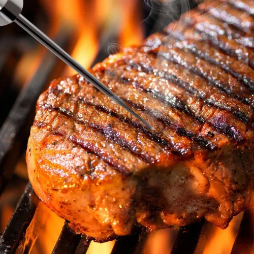 Vista 5 de NutriChef Termómetro de barbacoa mejorado, sondas de temperatura – 2 piezas de acero inoxidable para NutriChef PWIRBBQ80 termómetro digital