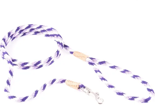 Vista 160 de Alvalley Correa para perros estilo broche – Correa de nailon estilo broche para perros – Fácil de manejar – Perfecto para perros pequeños, medianos