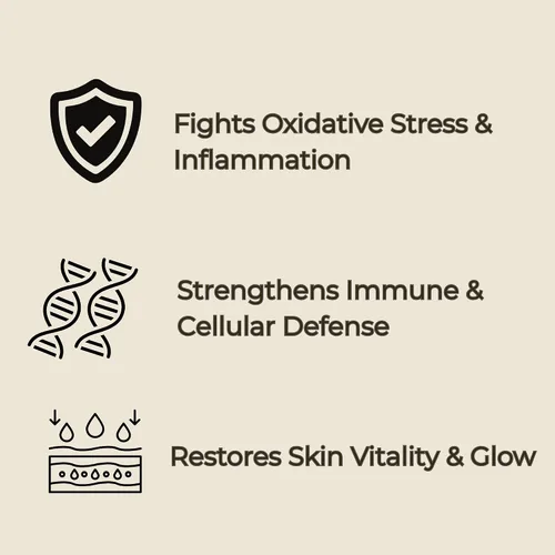 Vista 2 de Crema de hongos Chaga - Antioxidante y defensa inmunológica Inonotus obliquus con melena de león Reishi Tremella 2 oz - King & Queen Wellness