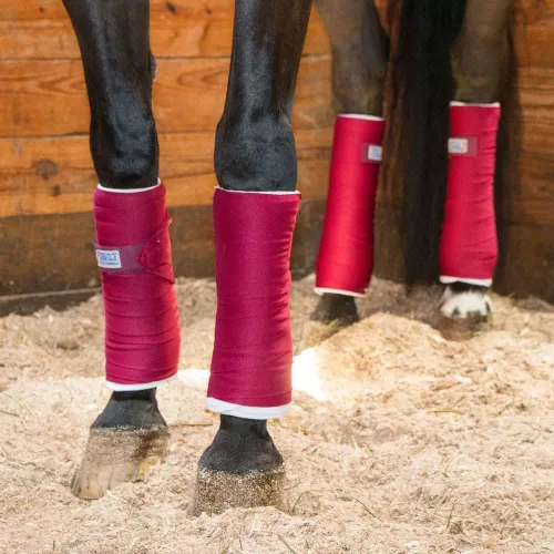 Vista 2 de Dura-Tech Envolturas de pie para caballos Color negro Comodidad y apoyo óptimos Ideal para después del ejercicio y remolque Aplicación