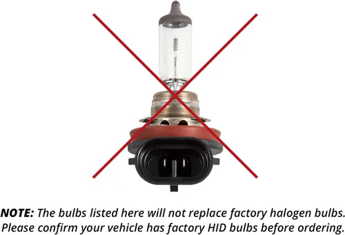 Vista 6 de Diode Dynamics Bombillas HID OEM de repuesto compatibles con Dodge Charger 2011-2023 (par), 4300K