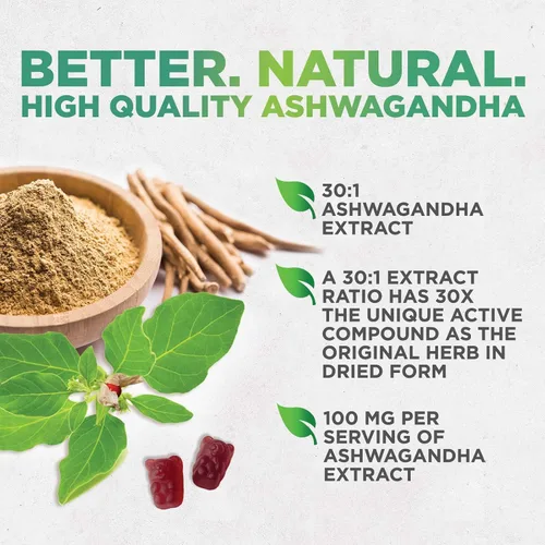 Vista 7 de Gomitas Ashwagandha – Fórmula avanzada de gomitas Ashwagandha para uso diario – Apoyo antioxidante natural y apoyo a la salud cerebral – Calma