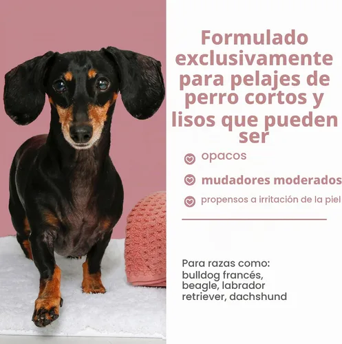Vista 3 de True Coat Short & Smooth Coat - Champú para perros, 5 en 1, calma y brilla con leche de avena, aceite de coco y vitamina E, 16 onzas Corto y suave