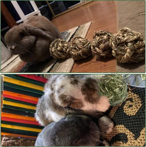 Vista 7 de 6 piezas Bunny Timothy Grass Ball Natural Chew Toy Woven Masticar Juguetes Conejo Molar Pequeños Animales Molar Dientes Adecuado para Hámster