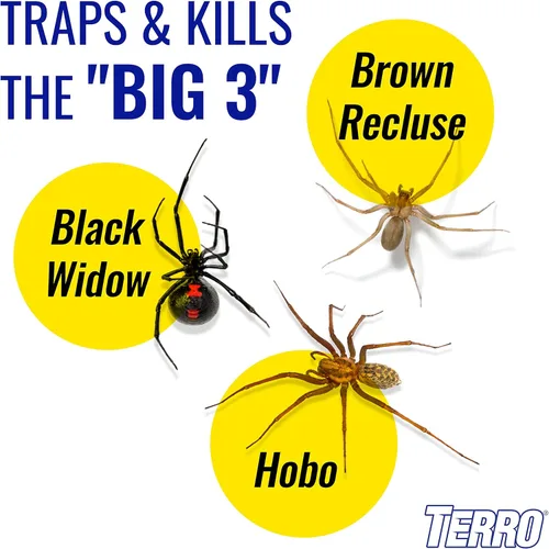 Vista 3 de Trampa para arañas e insectos Terro T3206-10 - Paquete de 10 trampas para insectos Kills Roaches, Spiders, Ants, Cockroaches, Crickets, Indoor Bug