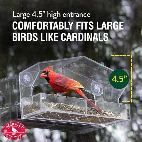 Vista 3 de Perky-Pet 347 Comedero transparente para pájaros con ventosas fuertes, capacidad de semillas de 1 libra