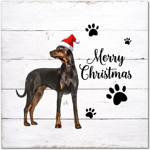 Vista 10 de Letrero de madera para perro con sombrero rojo, placa de pared rústica con reglas para mascotas, arte de pared colgante de granja, placa