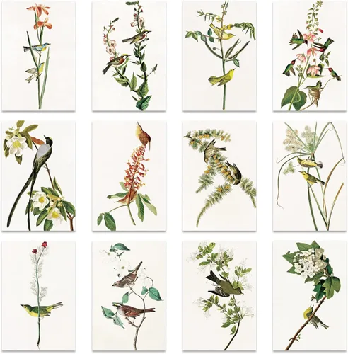 Vista 8 de Berkin Arts Paquete de 12 tarjetas de felicitación de arte clásico para todas las ocasiones con 12 sobres, flores de 4 x 6 pulgadas, varios diseños