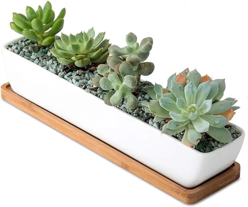 Vista 2 de Sea Star - Maceta moderna rectangular minimalista de cerámica blanca de 10 pulgadas para plantas suculentas para oficinas, escritorios, ventanas