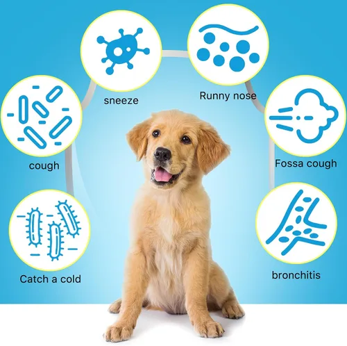 Vista 3 de Tratamiento para la tos de la perrera para perros, gotas de hierbas para la tos de la perrera - 2.02 onzas líquidas / 2.0 fl oz