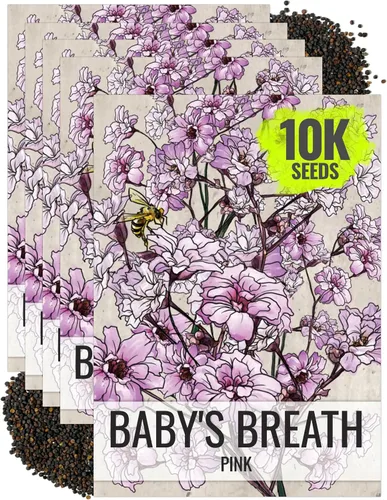 Vista 8 de Seed Needs Semillas de aliento de bebé rosa para plantar flores anuales, 1 paquete