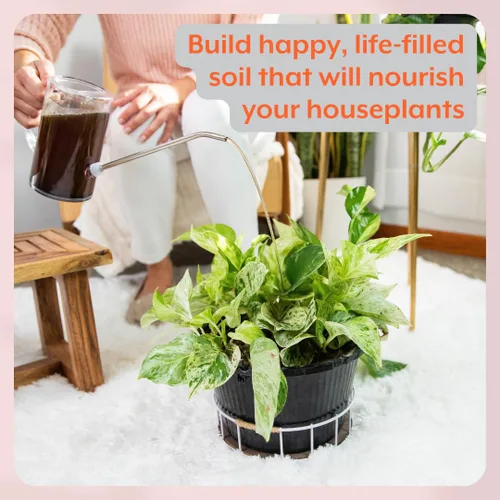 Vista 4 de Soporte instantáneo para plantas Probióticos de suelo y micorrizas para plantas de interior y jardines de interior Sin olor - Sin polvo - Sin