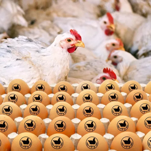 Vista 7 de SAVITA Sellos de huevos, bonitos sellos de huevos para huevos frescos con almohadilla de sello, sello personalizado para huevos de granja