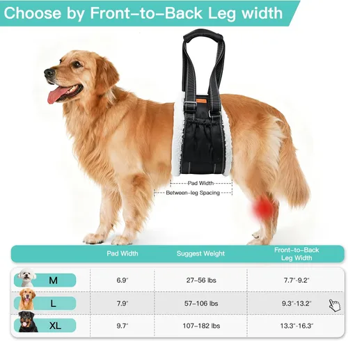 Vista 4 de LumoLeaf Arnés de elevación para perros para patas traseras, soporte ajustable para piernas traseras y ayuda de movilidad, soporte de cadera