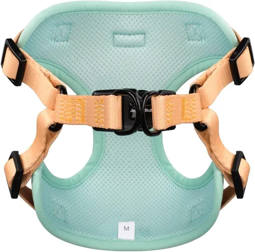 Vista 3 de Jack & Bully Arnés para perro, chaleco sin tirones, de neopreno ajustable, suave con malla transpirable, para todo tipo de clima, bulldog francés