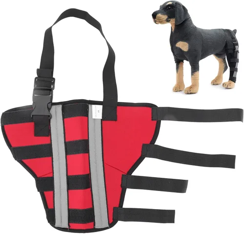 Vista 8 de FILFEEL Comfortable Dog Hind Leg Brace with Reflective Strip for Joint Support and Healing PostSurgery Recovery (M)
