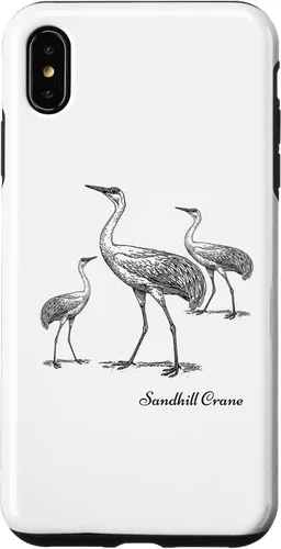 Vista 11 de Sandhill Crane Bird Ornithology Case for iPhone 17
