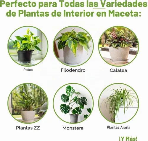Vista 3 de Perfect Plants - Suelo para plantas de interior, 4 cuartos de galón, mezcla para macetas de coco