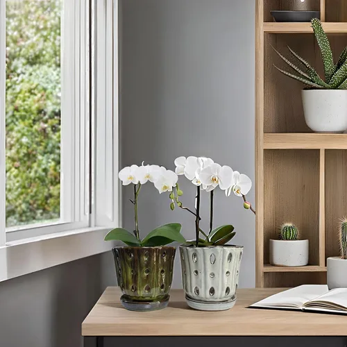 Vista 7 de Macetas de orquídeas azules de 6 pulgadas + macetas de orquídeas de 4.9 pulgadas con agujeros, color blanco y verde, juego de 3