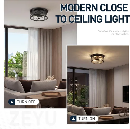 Vista 3 de zeyu ZY25-F BK - Lámpara de techo de montaje empotrado de 2 luces, 12 pulgadas para cocina con vidrio transparente, luz de techo negra, ZY25-F BK