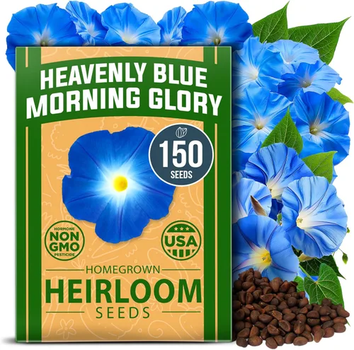 Vista 30 de HOME GROWN Semillas de zinnia rosa – 300 zinnias Luminosa 0.5g, semillas anuales de flores fáciles de cultivar para plantar al aire libre para 2026