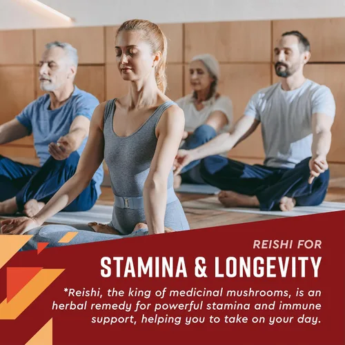 Vista 4 de 360 Nutrition Ashwagandha & Reishi - Suplemento de raíz de gotas para aliviar el estrés, la resistencia y la longevidad, y apoyo energético