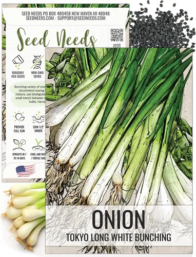 Vista 10 de Seed Needs Semillas de cebolla roja borgoña para plantar reliquia y sin OMG, 1 paquete