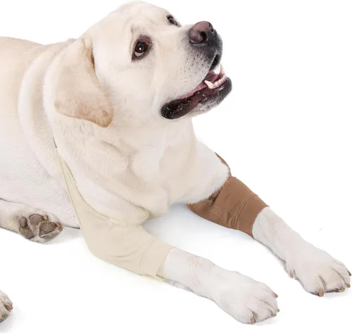 Vista 6 de Protector de codo para perro, mangas para perros para heridas y patas delanteras, mantiene la herida del codo limpia, con acolchado