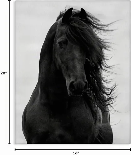 Vista 10 de Retrato de caballo semental negro' Arte en lienzo