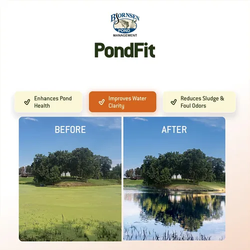 Vista 3 de Bacterias beneficiosas de estanque PondFit - Cubo de 5 lb For water clarity, reduced muck buildup and odor control with nutrient balance support