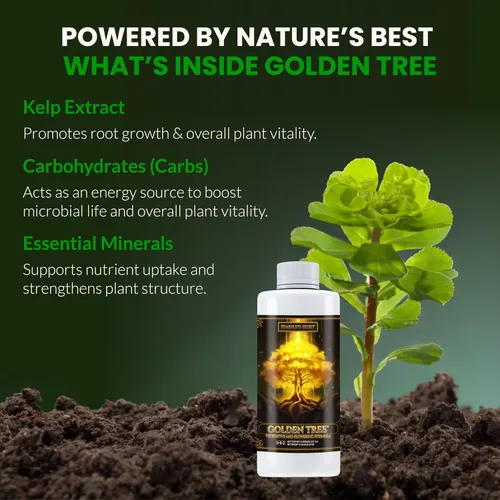 Vista 26 de Mejor alimento para plantas y árboles: Golden Tree de Humboldts Secret, crecimiento explosivo, incremento de la producción, recuperador de plantas