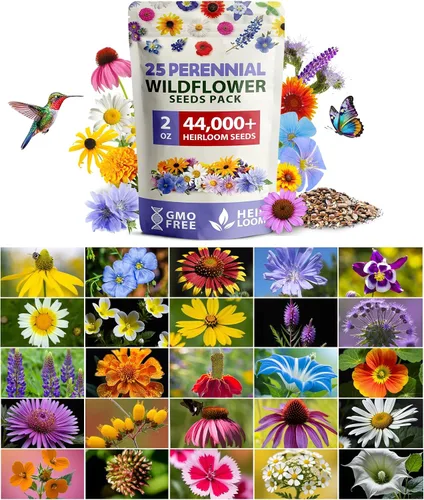 Vista 23 de HOME GROWN - 49 000 semillas de flores silvestres, mezcla a granel, 2 onzas, 21 variedades de mezcla de flores silvestres, para atraer abejas