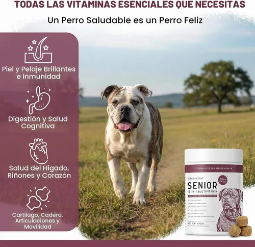 Vista 3 de CHEW and HEAL Senior 12-en-1 Advanced Multivitamina Soft Chews Suplemento para perros mayores, Soporte de cadera y articulaciones, fórmula