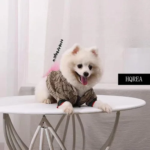 Vista 5 de Sudadera con capucha para perro Ropa de lujo para perros Chaqueta de invierno para cachorros Abrigo clásico de diseñador para mascotas Francés