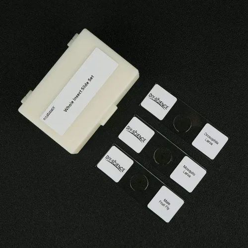 Vista 4 de Juego de diapositivas de microscopio de insectos enteros preparados, 10 piezas para niños, estudiantes, clase de biología, regalo educativo