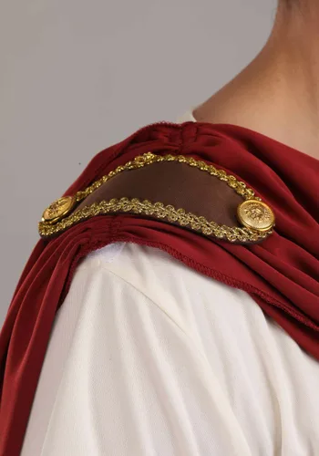 Vista 6 de Disfraz de Emperador Romano para Hombre Multicolor