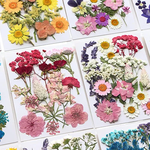 Vista 4 de Natural Pressed Dried Flower for Epoxy Resin Dry Flowers and Leaves Set for Soap Jewelry Making Scrapbooking Phone Case Decoration Section B