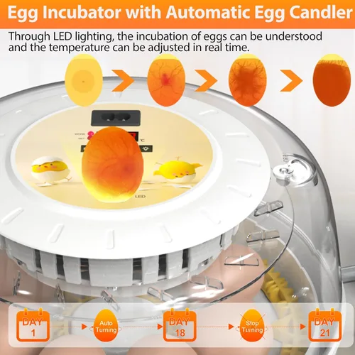 Vista 4 de Incubadoras de huevos para incubar huevos con girador automático de huevos, 8 incubadoras para huevos de gallina con vela de huevos para pollo