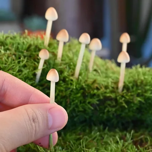 Vista 2 de Paquete de 8 hongos de arcilla hechos a mano – Mini hongos falsos para paisajes en miniatura y jardines de hadas – Adornos de escritorio