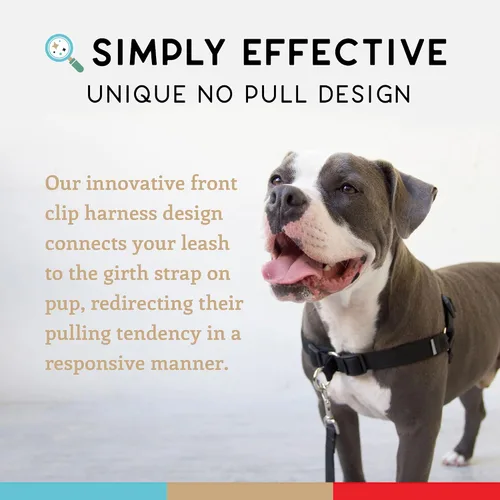 Vista 3 de Wildebeest Arnés sin tirones para perro, cómodos arneses de entrenamiento, diseño eficaz de arnés sin tirones, ideal para perros pequeños