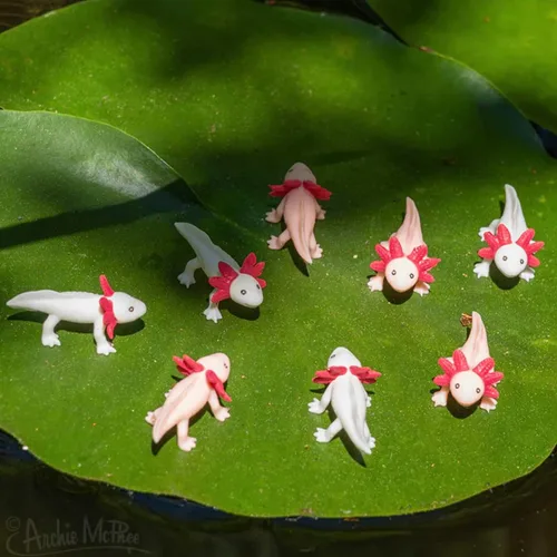 Vista 7 de Accoutrements Archie McPhee Itty Bitty Axolotls 8 Pack