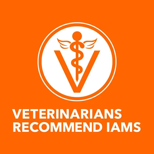 Vista 8 de IAMS Perfect Portions - Paté de comida húmeda para gatos adultos saludables, sin granos, receta de pollo, 2.6 onzas, bandejas gemelas fáciles