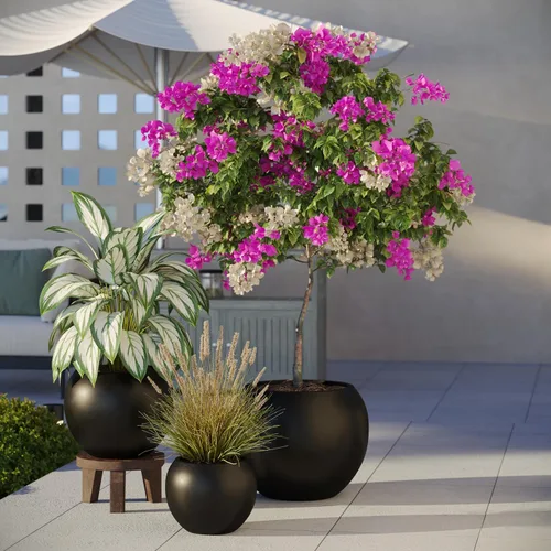 Vista 21 de DTY Fiberstone - Maceta tipo globo para interiores y exteriores, maceta esférica ligera para olivo, Monstera y palma, piedra de fibra de vidrio