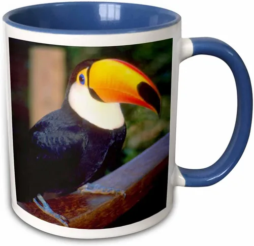 Vista 10 de 3dRose Florene Birds - Tucán - Tazas (mug_17933_9)