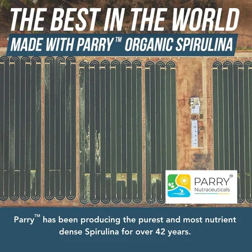 Vista 5 de Polvo de espirulina orgánica – Hecho con espirulina Parry®, conocida por su pureza superior y densidad de nutrientes – Agricultura vegana – No