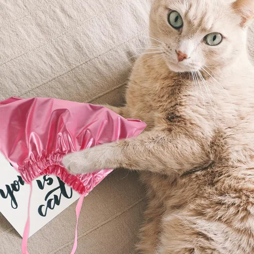 Vista 5 de Gorro de ducha impermeable para mascotas para gatos y perros, sombrero de baño flexible para cachorros con protección para los oídos, gorras