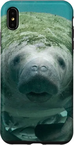 Vista 11 de Manatee Case for iPhone 17