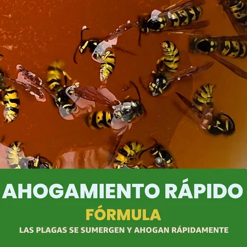 Vista 5 de Spectracide Trampa para avispas, avispones y chaqueta amarilla, trampa colgante para avispas y avispones con una fórmula de ahogamiento rápido que