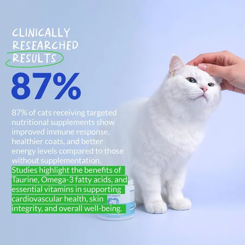 Vista 3 de Daily Support Multivitamínico para gatos, polvo de 4 onzas, L-lisina, taurina y espirulina para apoyo inmunológico y salud ocular, aceite de pescado